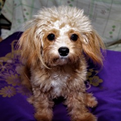 25位のイメージ