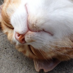 12位のイメージ