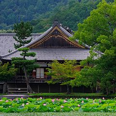 143位のイメージ