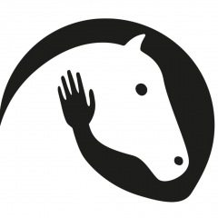 49位のイメージ