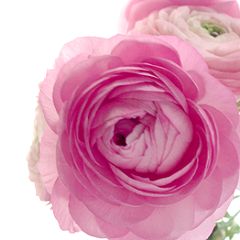 27位のイメージ