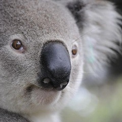 77位のイメージ