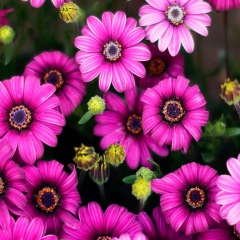 15位のイメージ