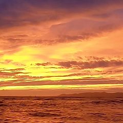 46位のイメージ