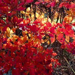 69位のイメージ