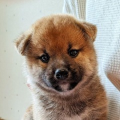 57位のイメージ