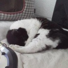 26位のイメージ