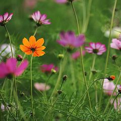 13位のイメージ