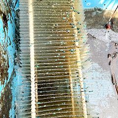 61位のイメージ