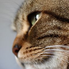 20位のイメージ