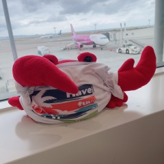 67位のイメージ