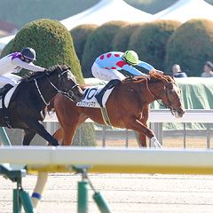 19位のイメージ