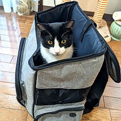 55位のイメージ