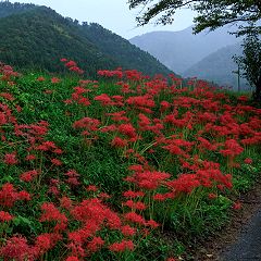 64位のイメージ