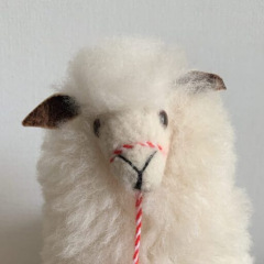 13位のイメージ