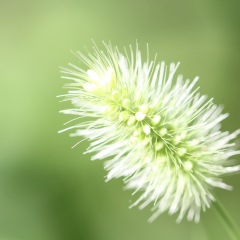 29位のイメージ