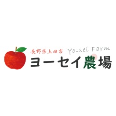 41位のイメージ