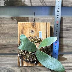 10位のイメージ