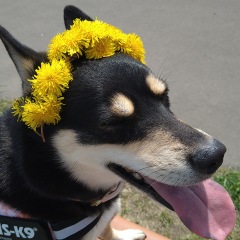 391位のイメージ