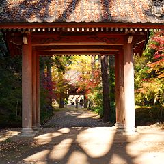 26位のイメージ