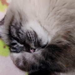 21位のイメージ