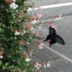 48位のイメージ