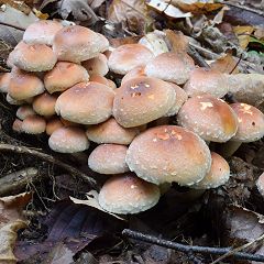 20位のイメージ