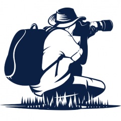 51位のイメージ