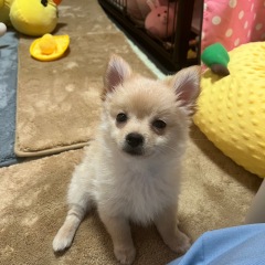 36位のイメージ