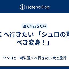 121位のイメージ