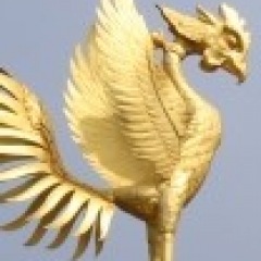 36位のイメージ