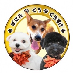 27位のイメージ