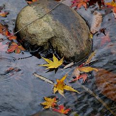 34位のイメージ