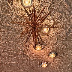 62位のイメージ