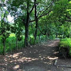 163位のイメージ