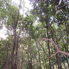 49位のイメージ