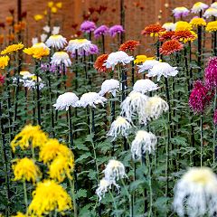 27位のイメージ