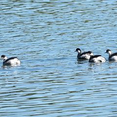 128位のイメージ