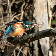 134位のイメージ