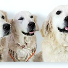 16位のイメージ