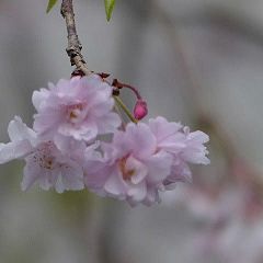 73位のイメージ