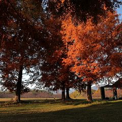11位のイメージ