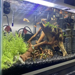 70位のイメージ