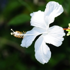 83位のイメージ