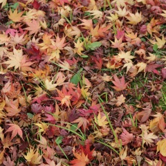 14位のイメージ