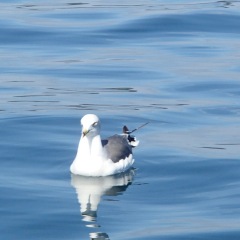 160位のイメージ