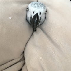 38位のイメージ