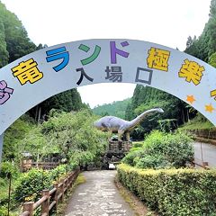 10位のイメージ