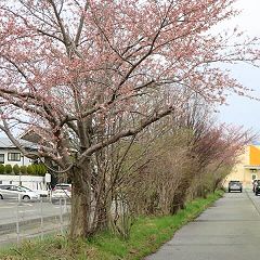 26位のイメージ