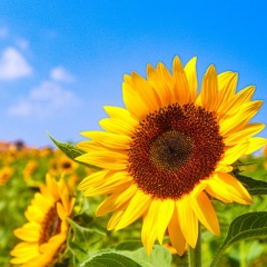 14位のイメージ